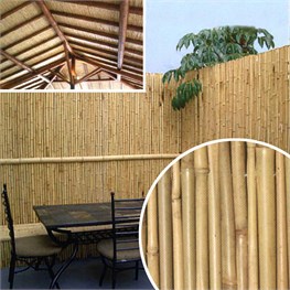 STUOIA CANNA INTERA GRANDE CON FILO PASSANTE Ø MM 14-16 - CM 150X300